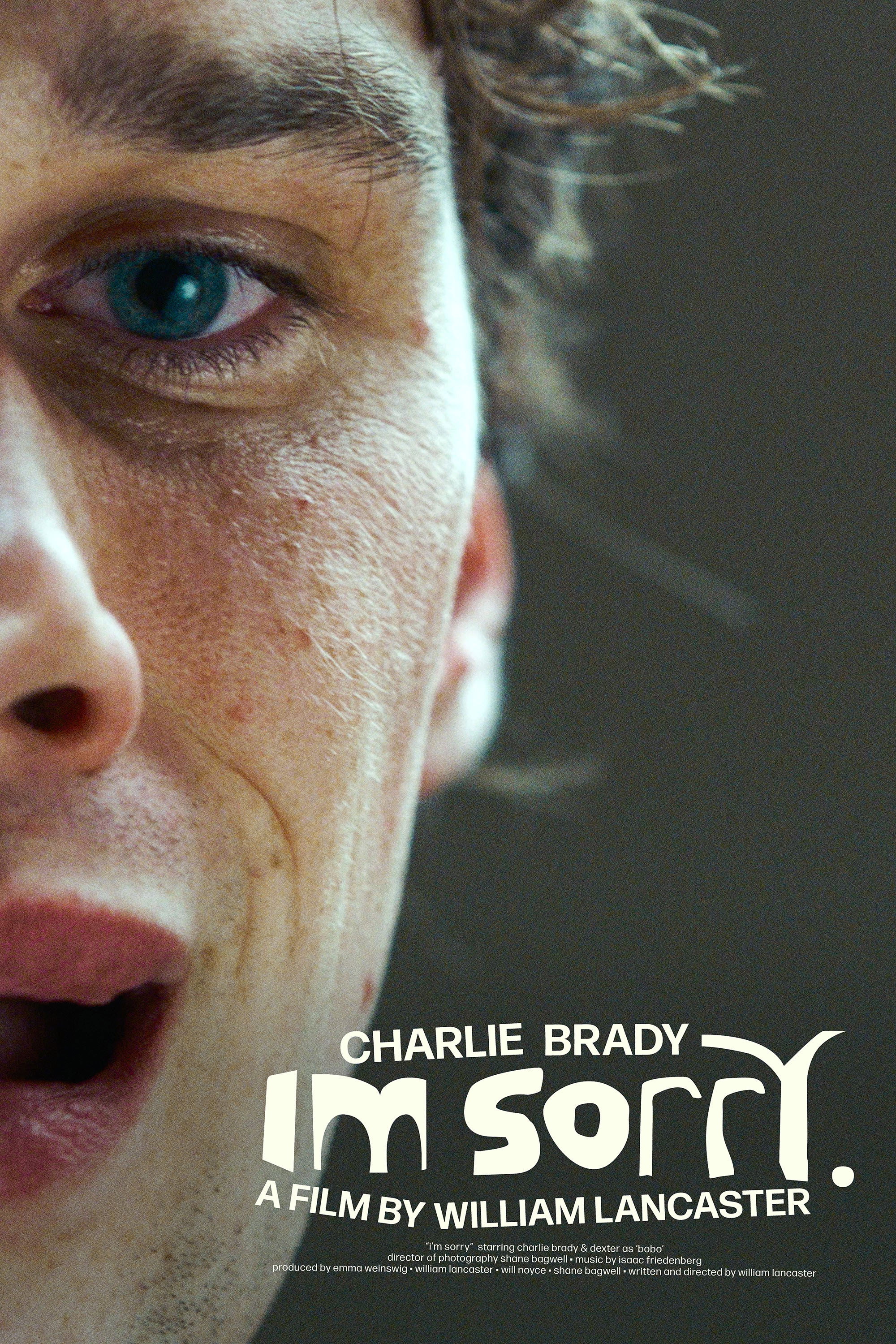 i'm sorry. (2026) Poster