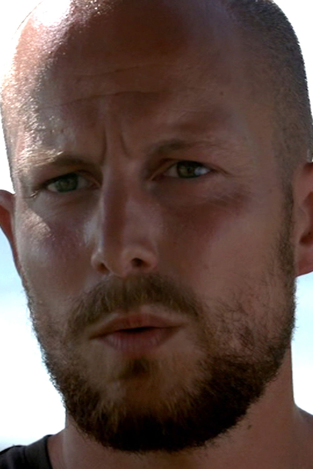 et billede af Orphal Colleye