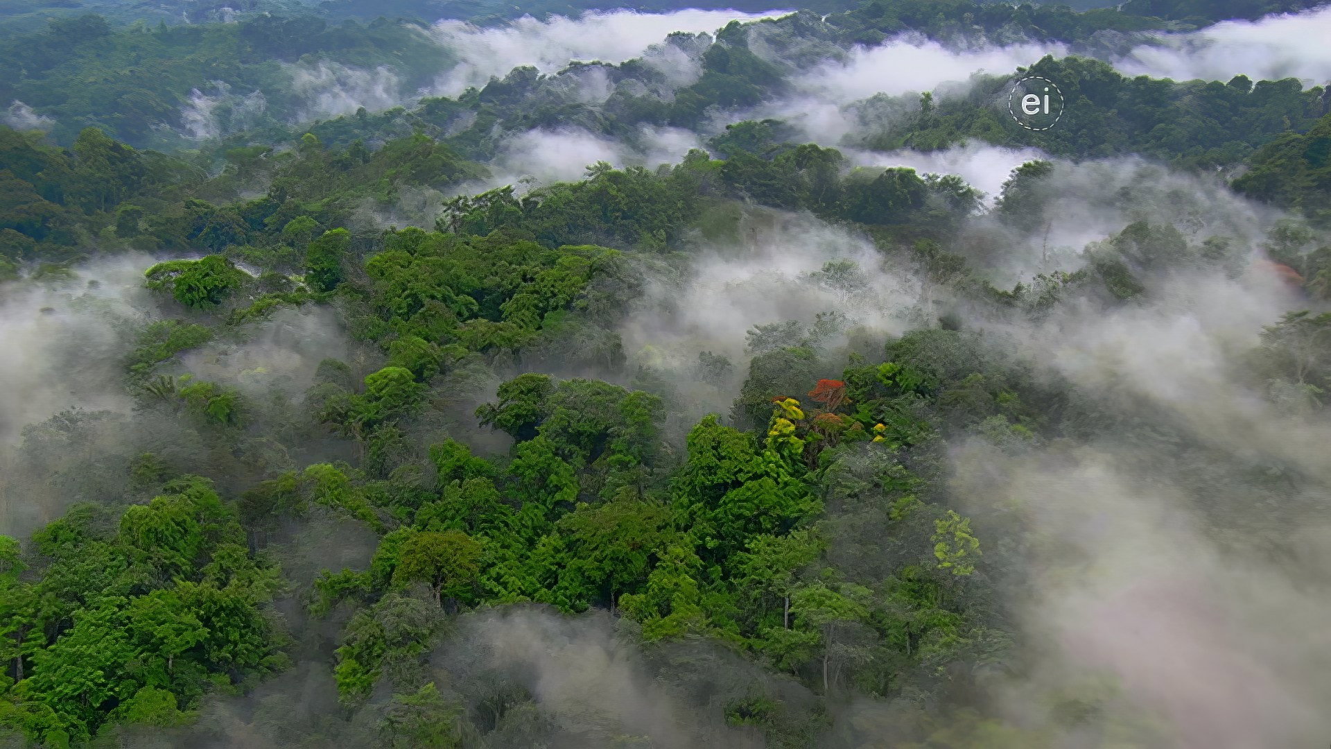 Earth Odyssey with Dylan Dreyer S04E08 backdrop