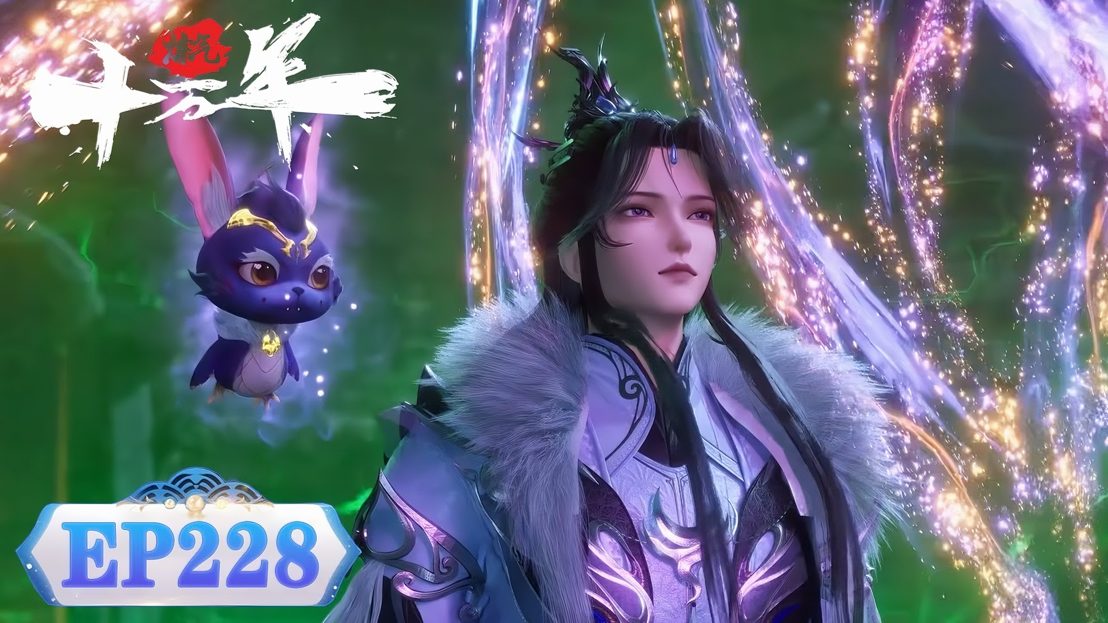 Episode 228