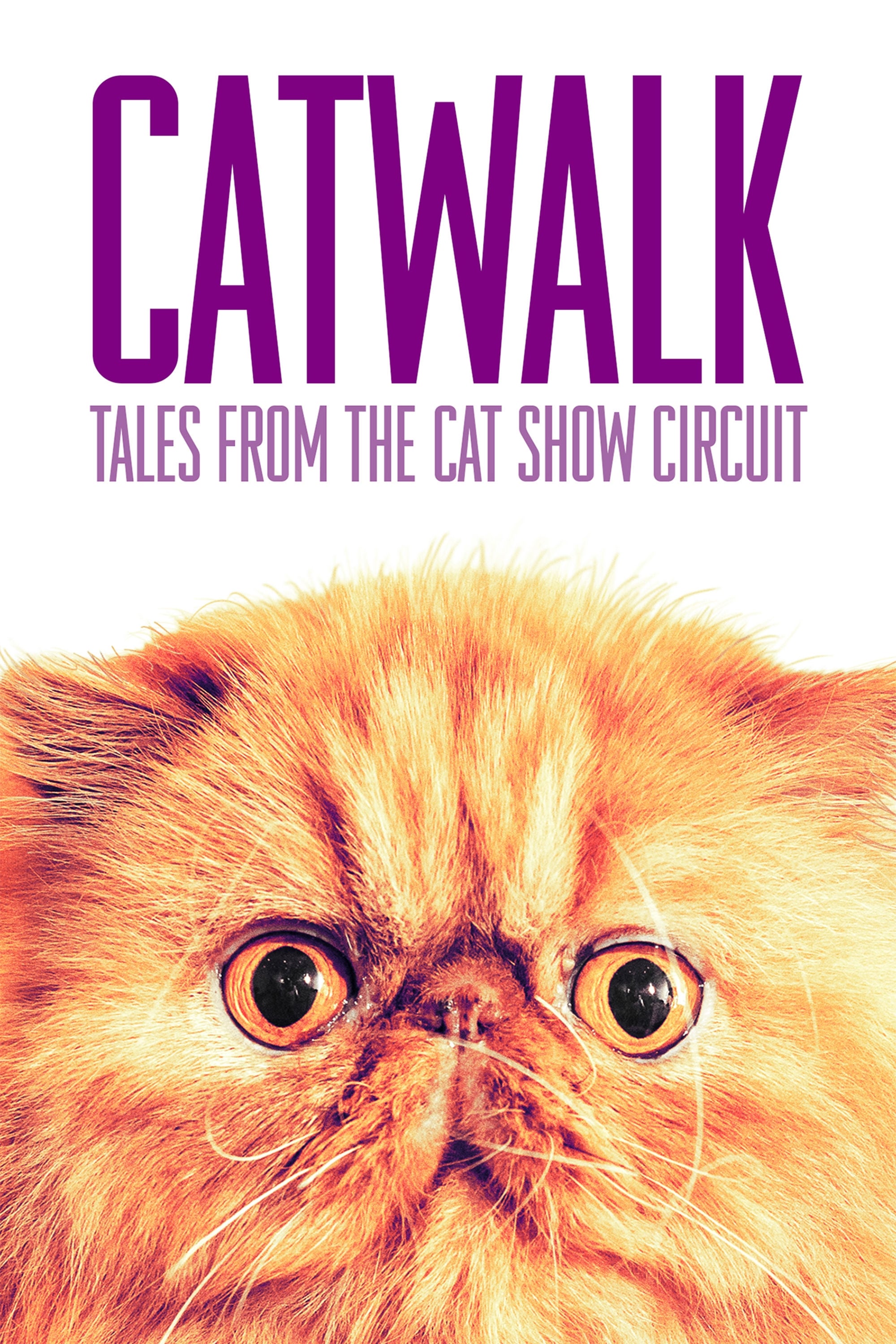 Catwalk: Tales from the Cat Show Circuit on FREECABLE TV