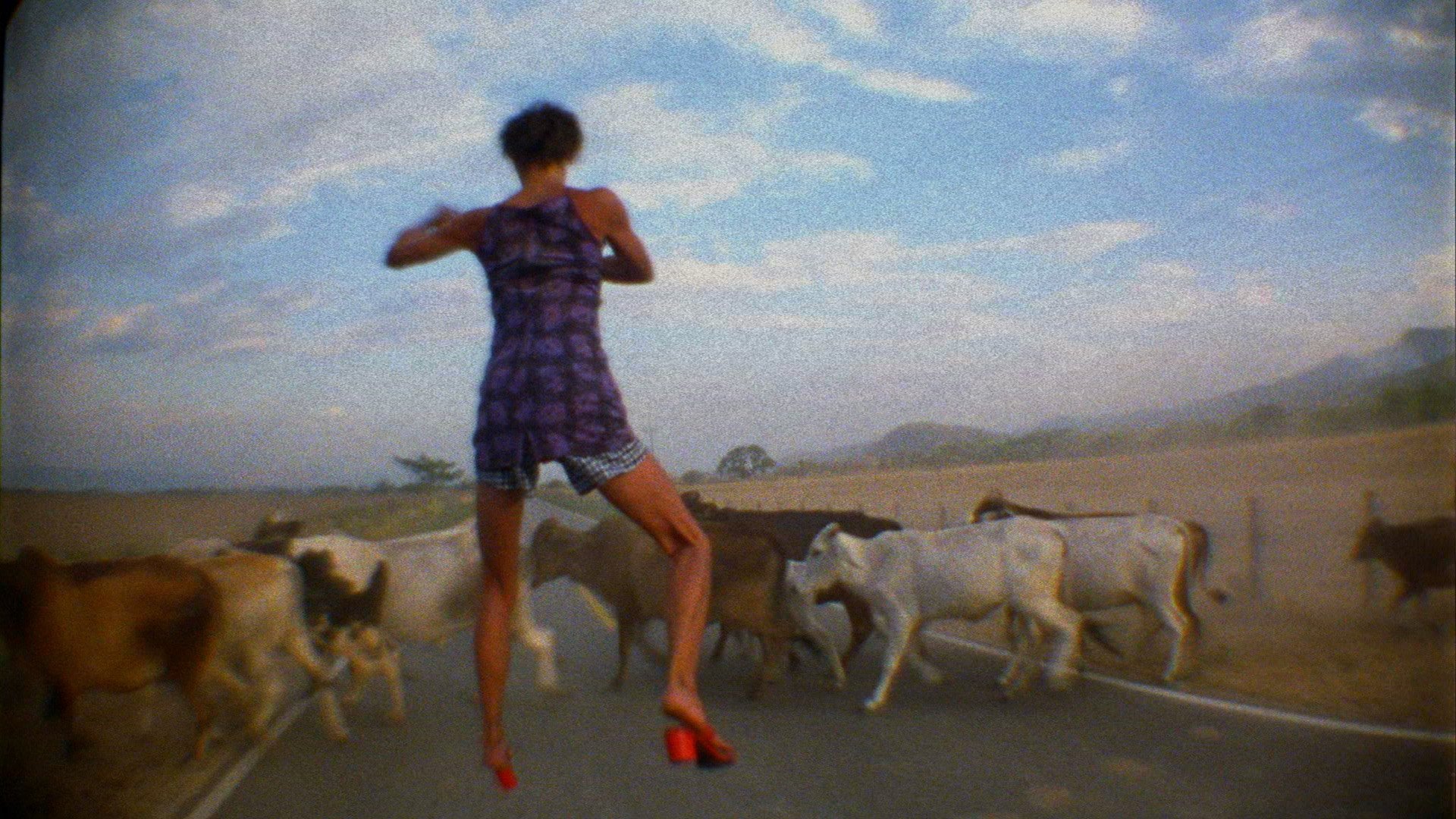 El Colombian Dream (2005)
