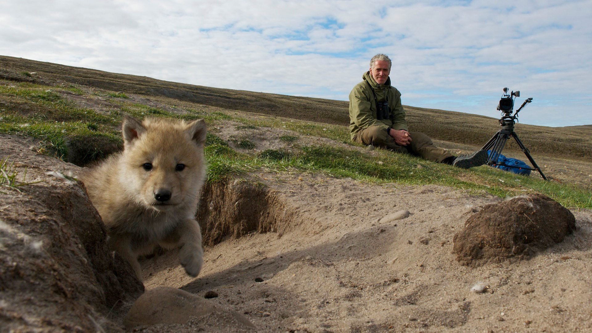 Snow Wolf Family and Me