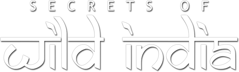 Secrets of Wild India Logo