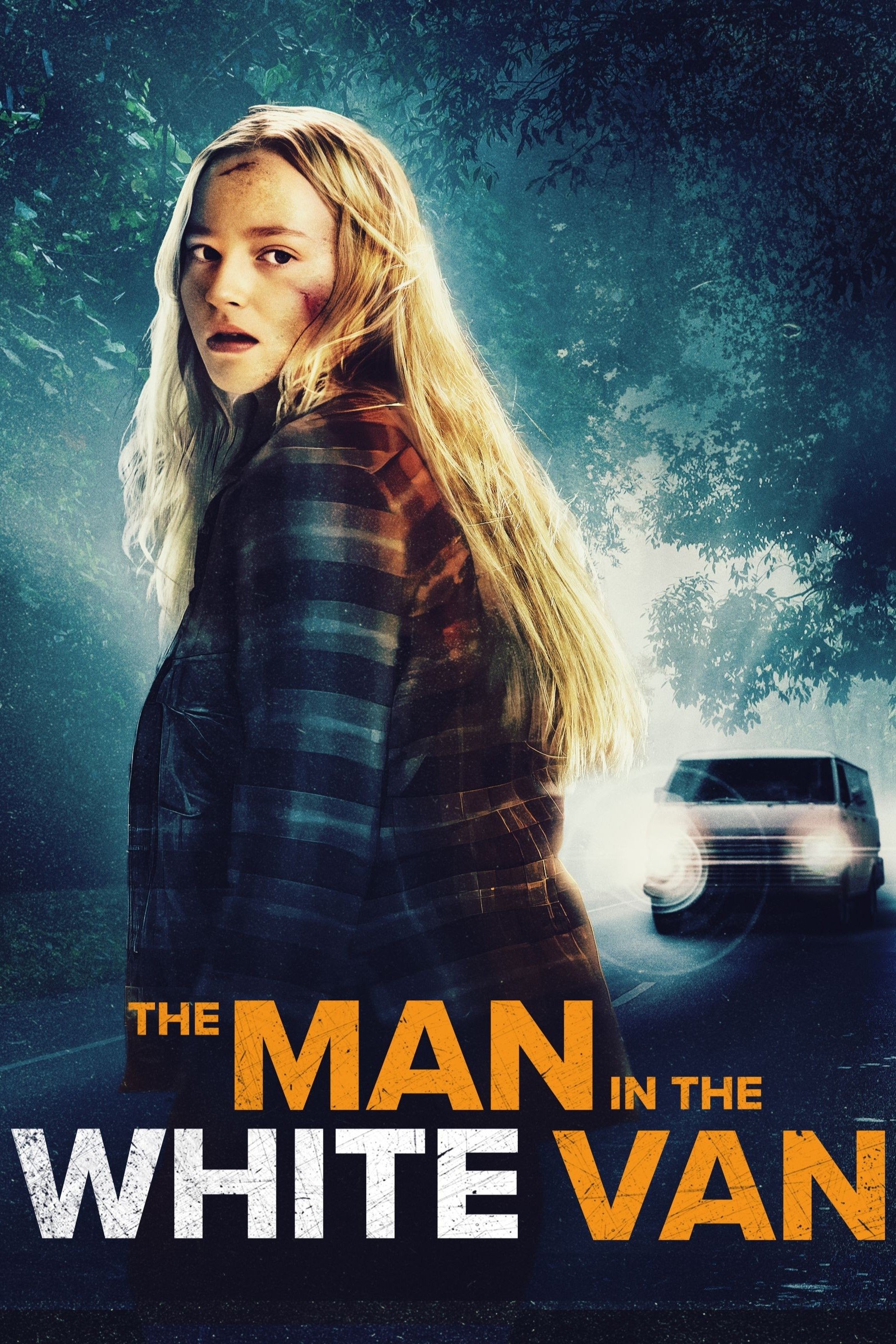 The Man in the White Van