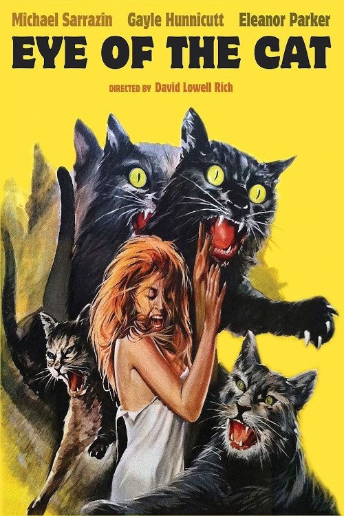 Eye of the Cat