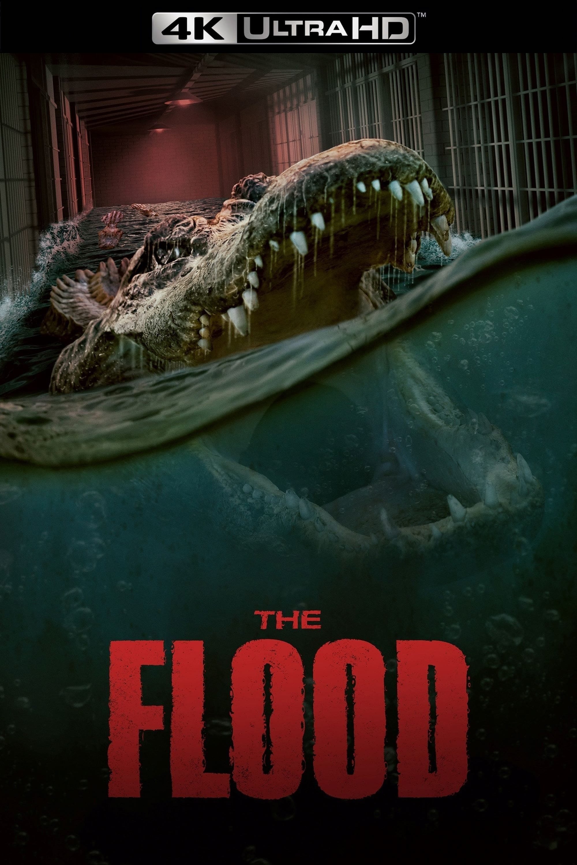 The Flood