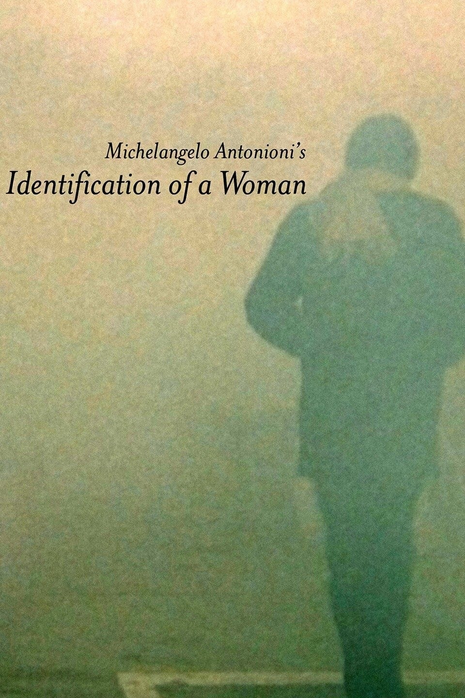 Идентификацията на една жена