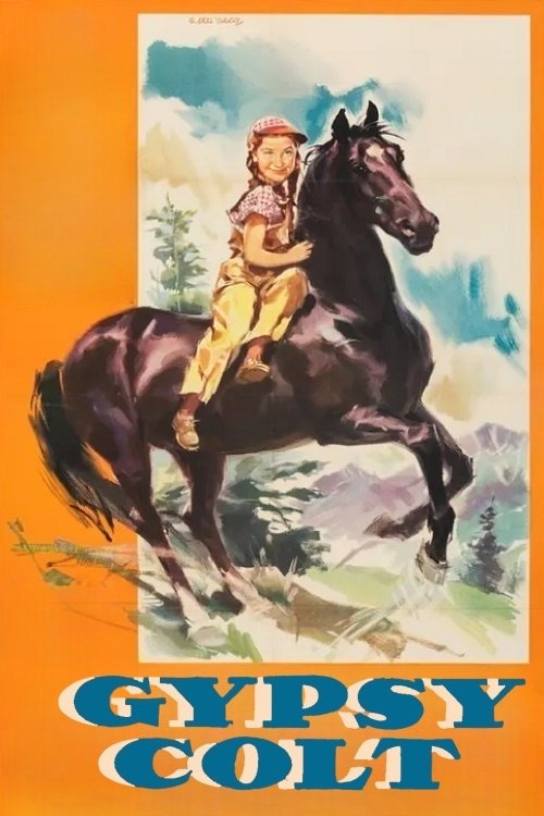 Gypsy Colt