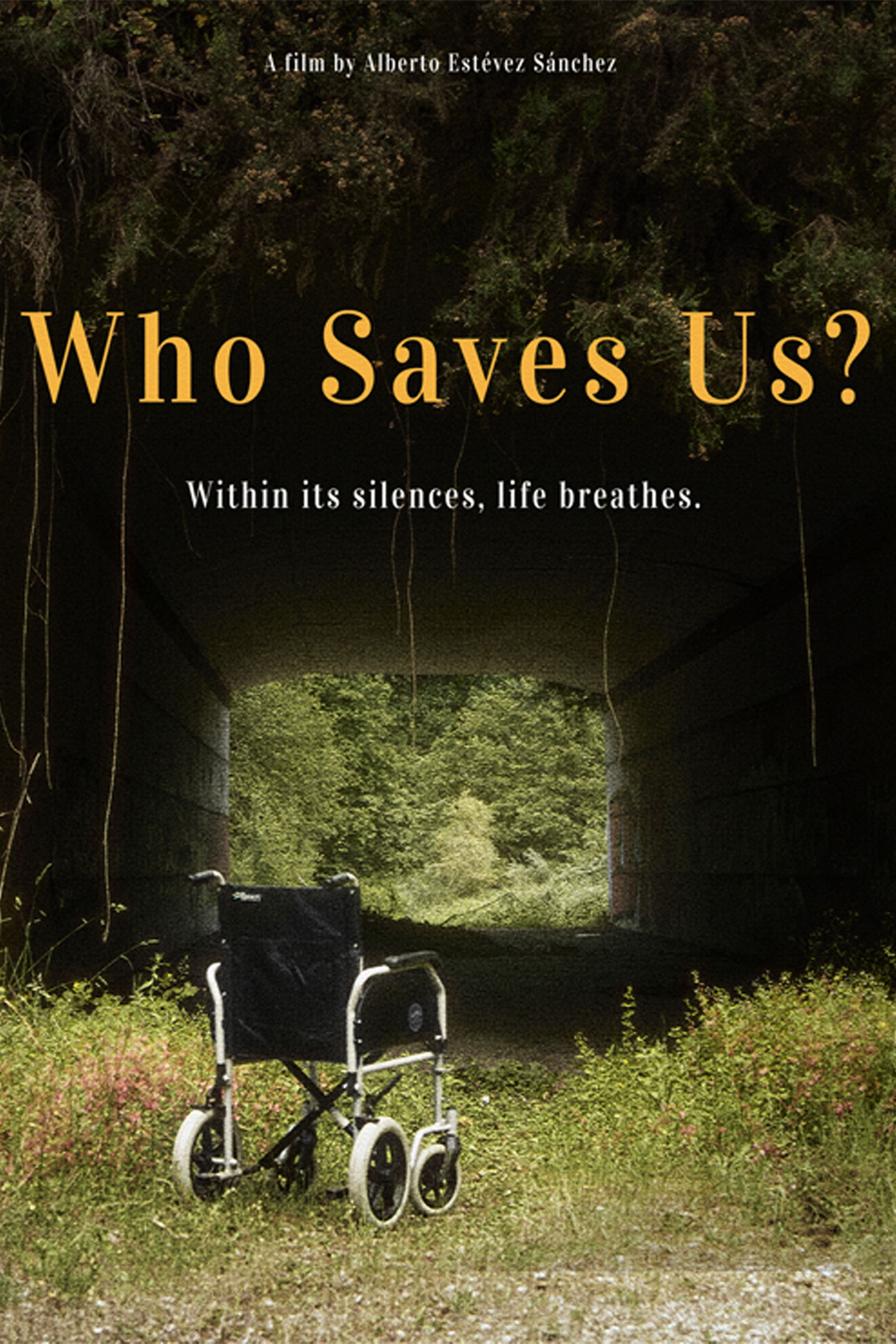 Who Saves Us?