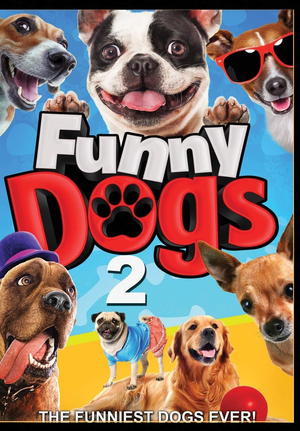 Funny Dogs 2 on FREECABLE TV