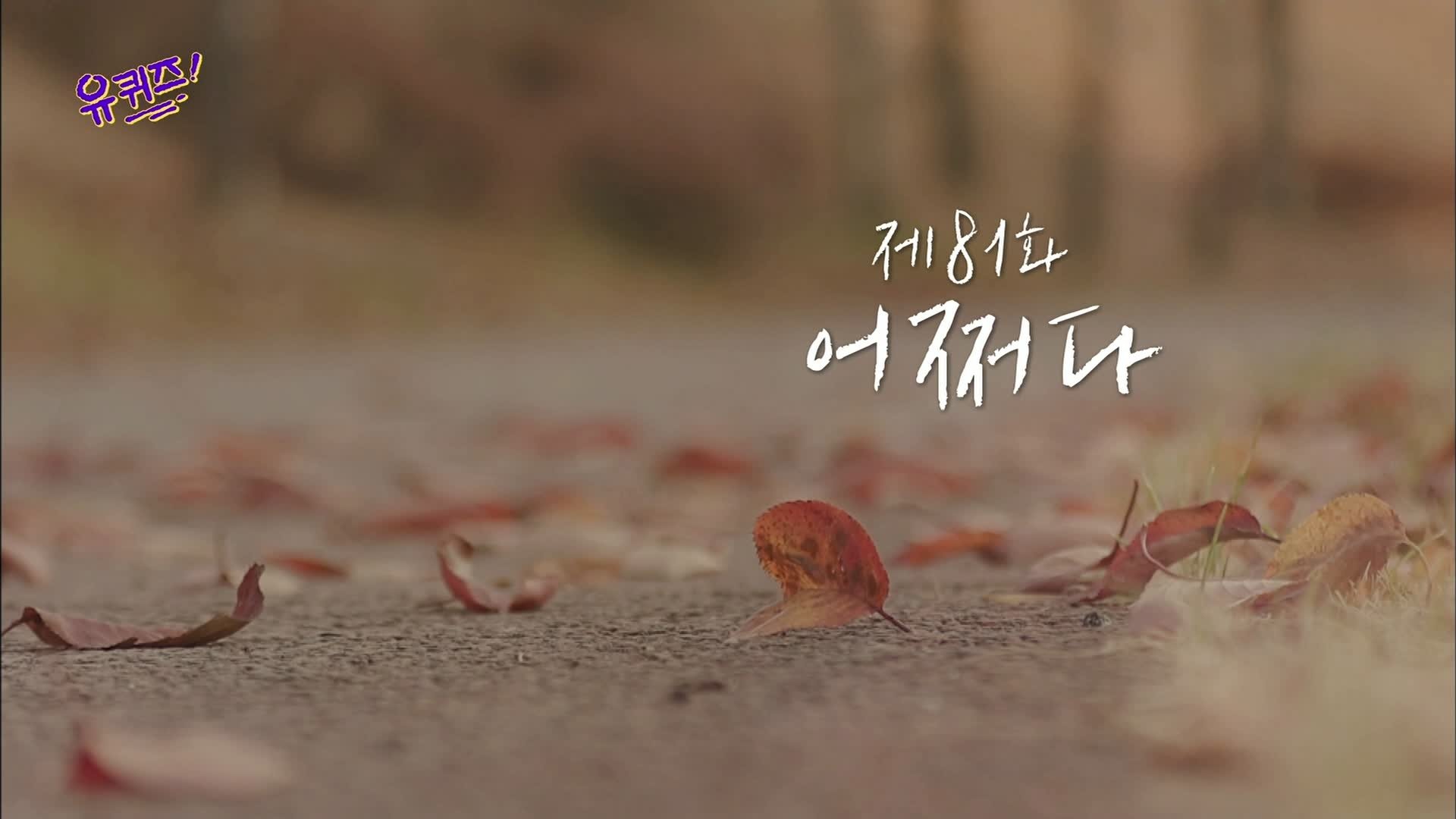 Episode 81