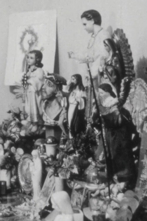 Poster for Mi Raza: Portrait of a Family