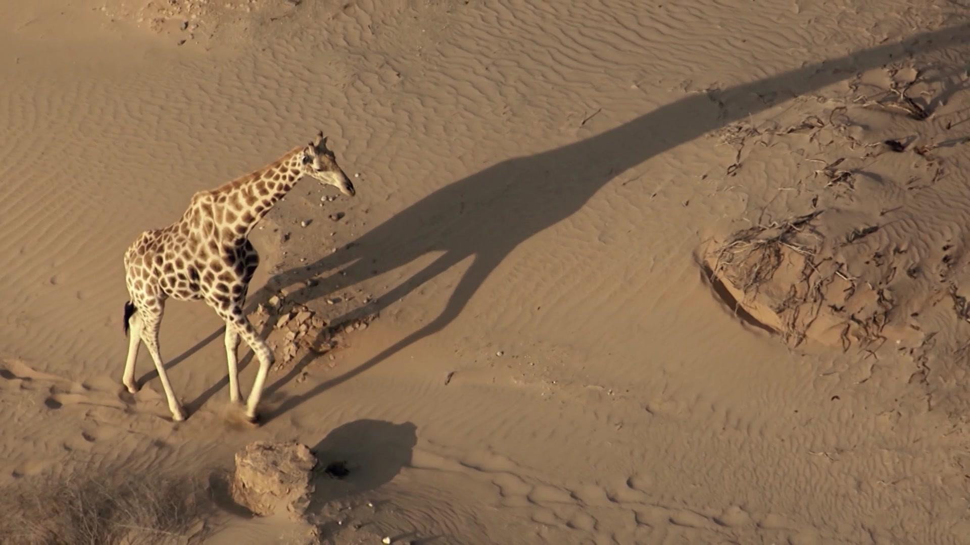 Earth Odyssey with Dylan Dreyer S04E03 backdrop