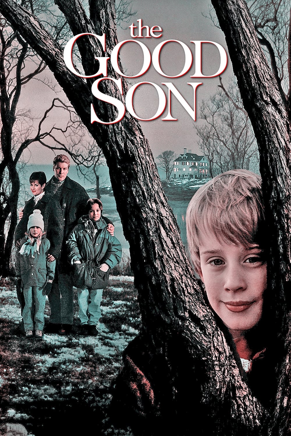 The Good Son (1993) - Posters — The Movie Database (TMDb)