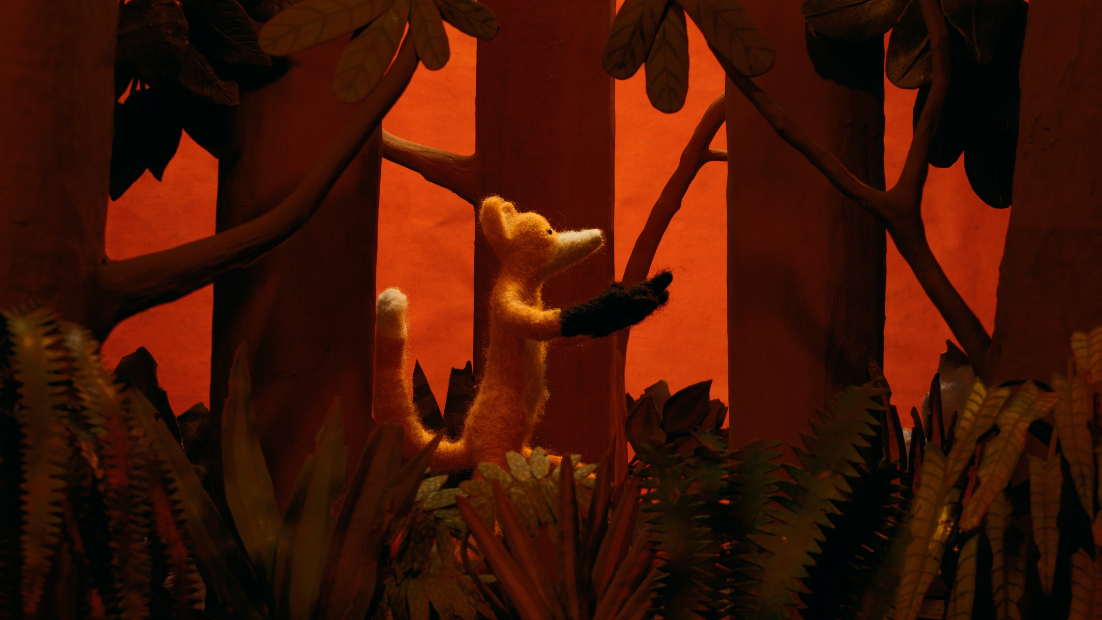 Imagem do Filme A Tragédia da Lobo-guará
