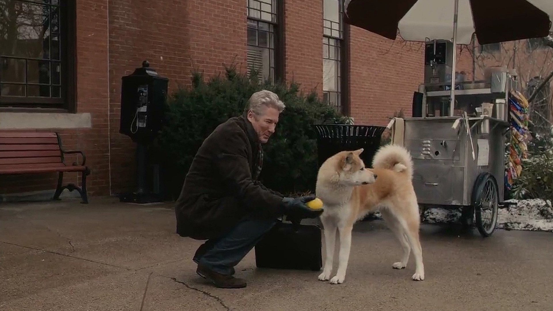 Hachi: Bir Köpeğin Hikayesi (2009)