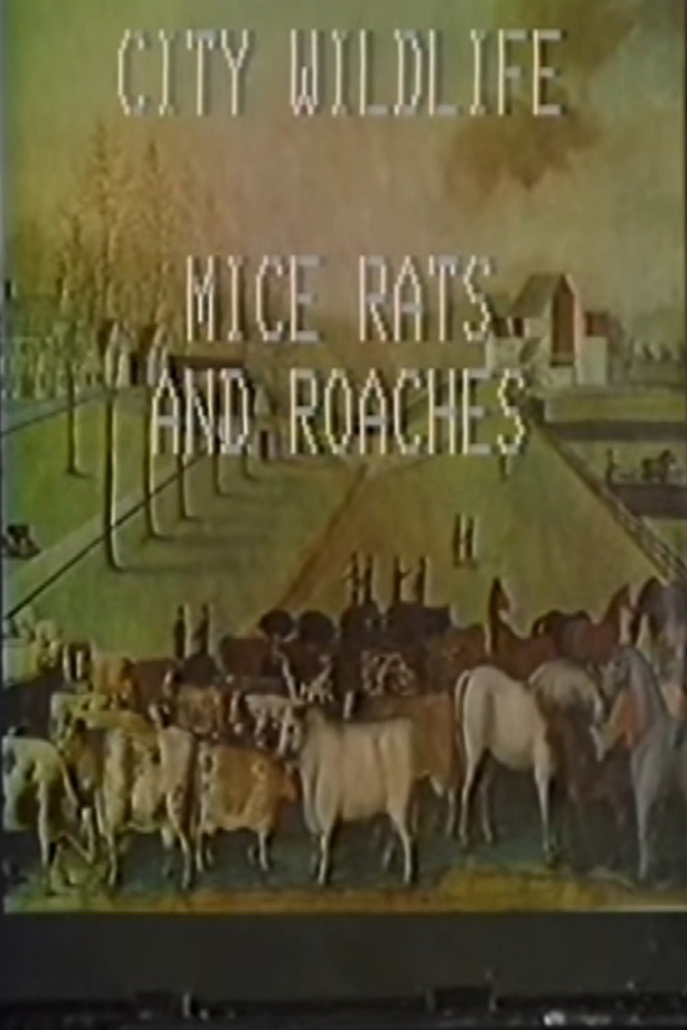 City Wildlife: Mice, Rats, and Roaches