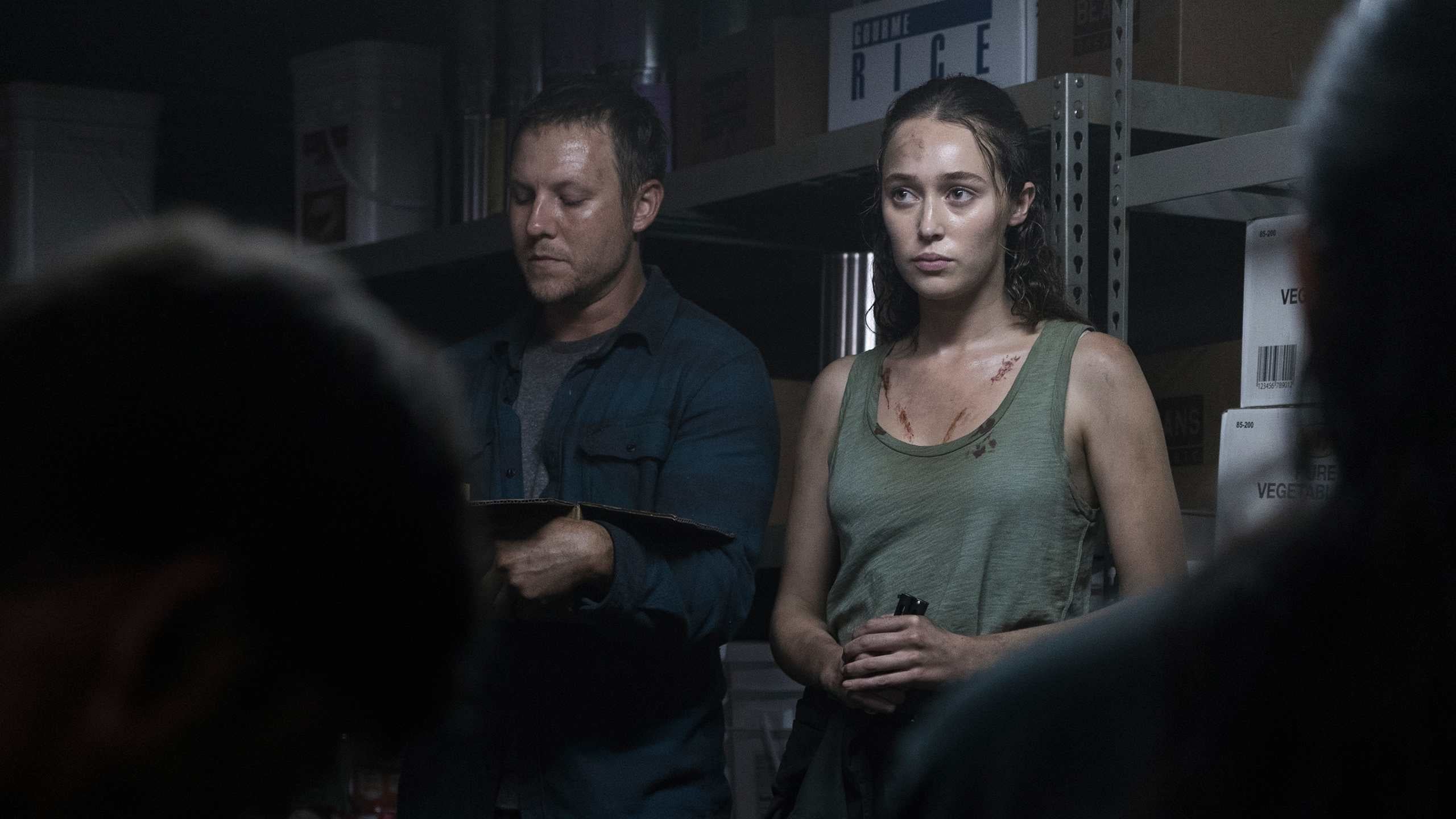 Fear the Walking Dead Season 3 :Episode 13  This Land is Your Land