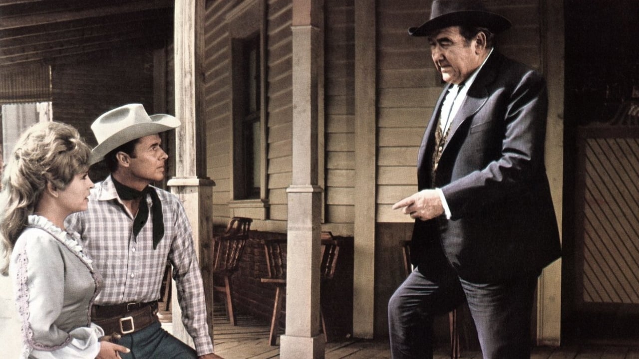 The Texican - skoningslös hämnare (1966)