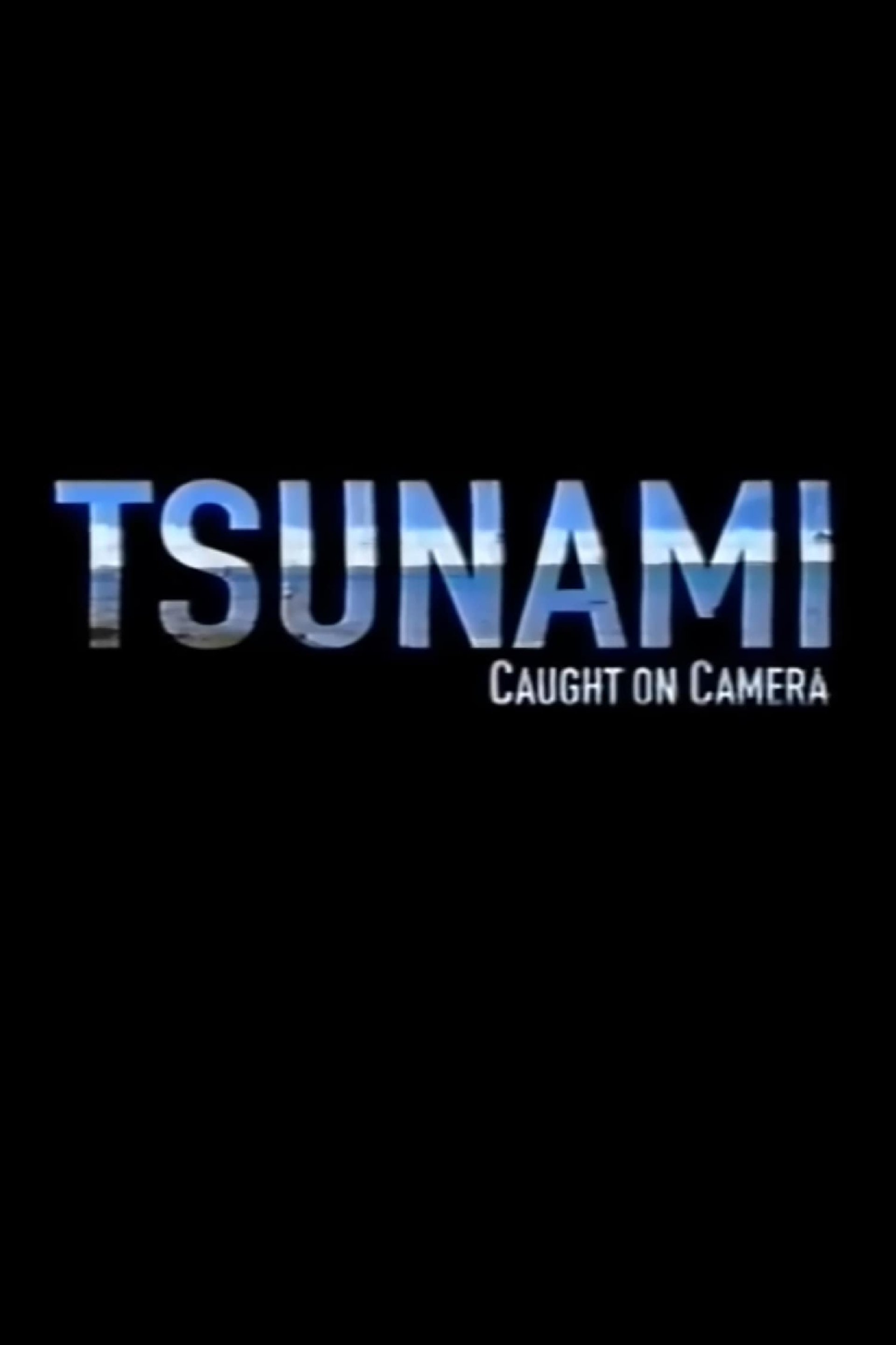 Tsunami: Caught on Camera