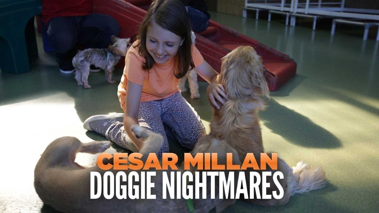 Cesar Millan: Doggie Nightmares