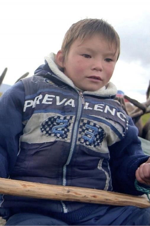 et billede af 斯塔斯