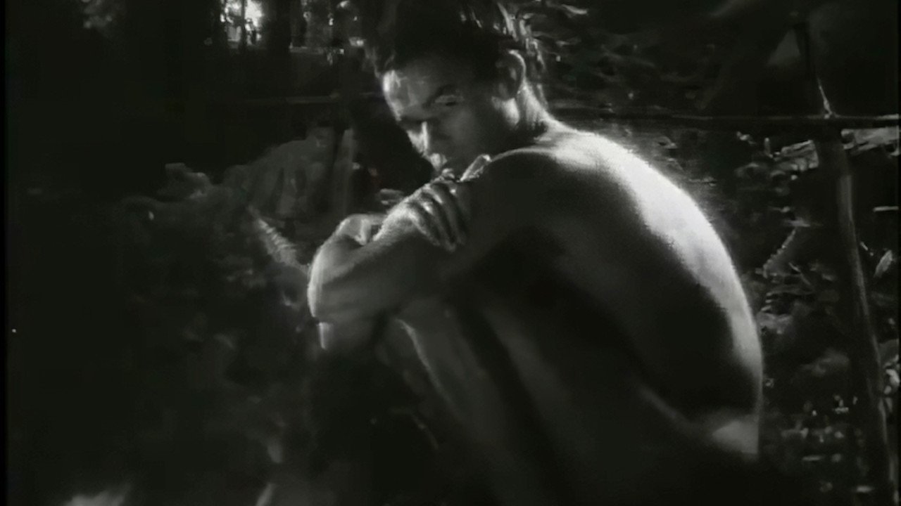 Twilight of the Gods (1996)