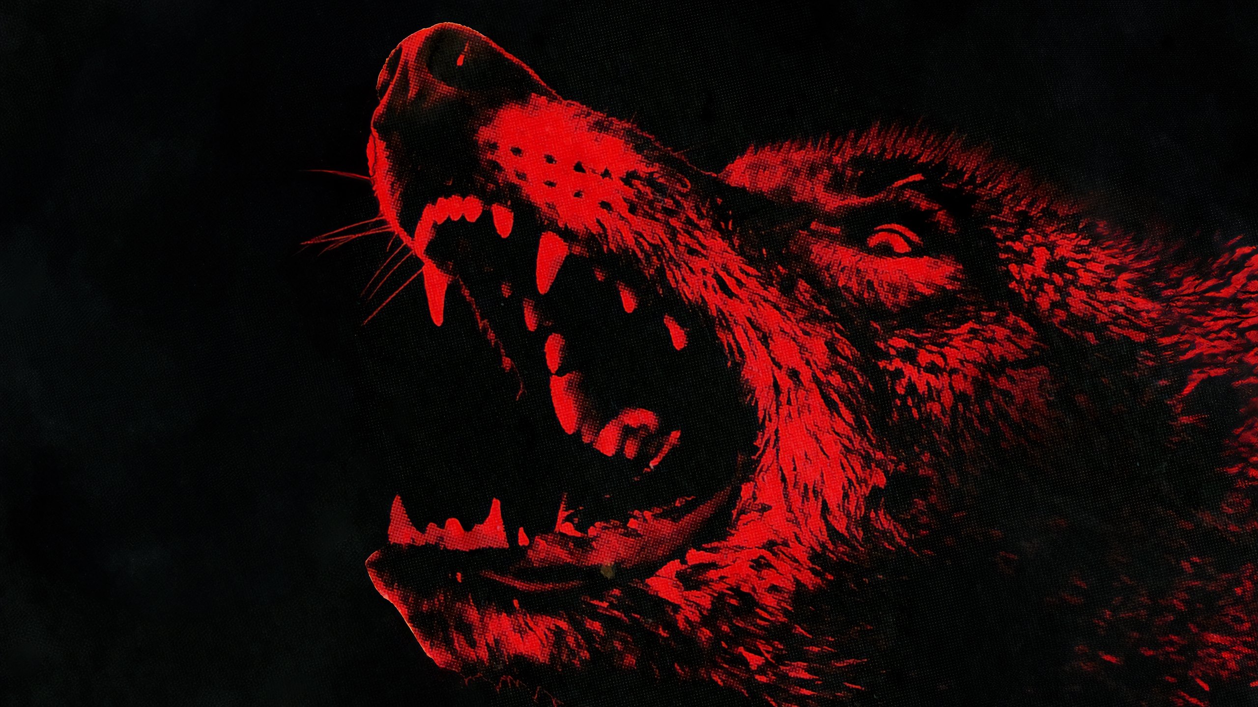Coyotes