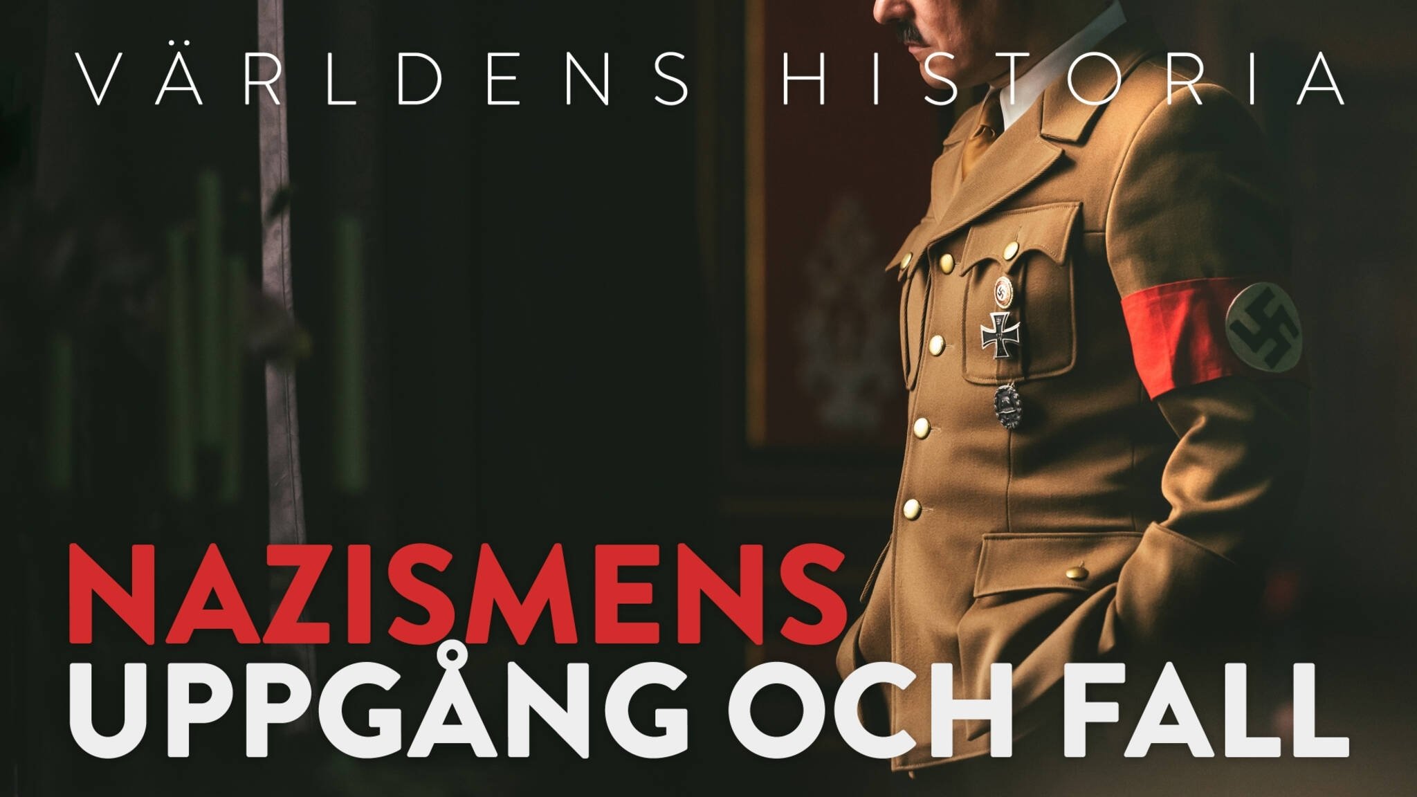 Rise of the Nazis