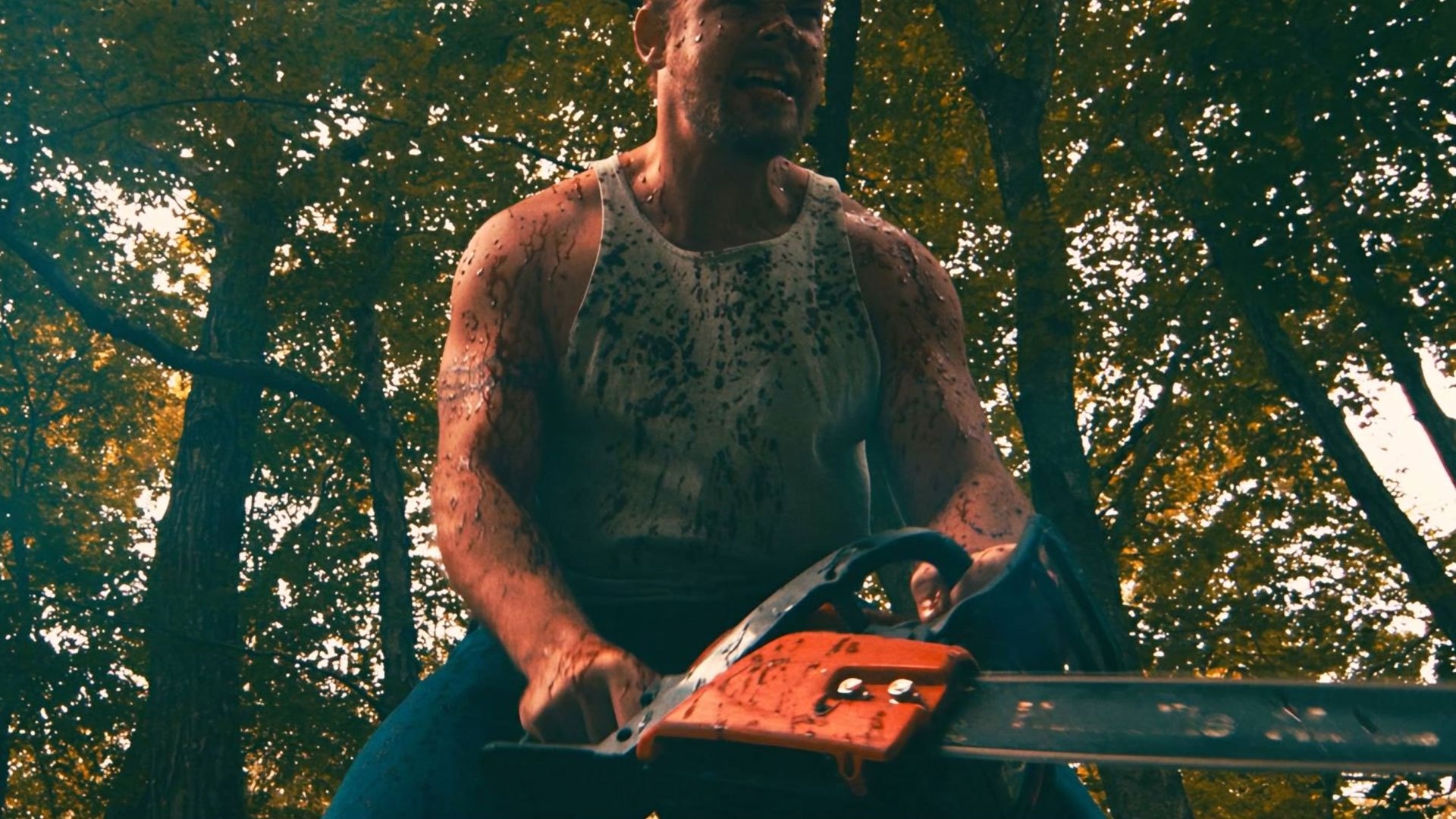 Absolute Zero (2015)