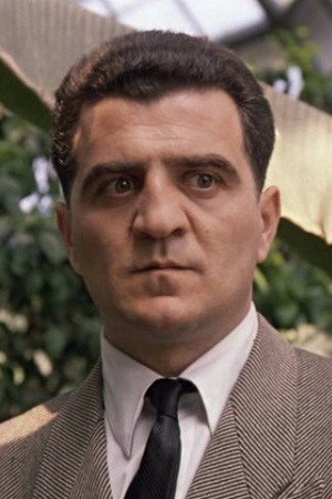 et billede af Amiran Amiranashvili (II)