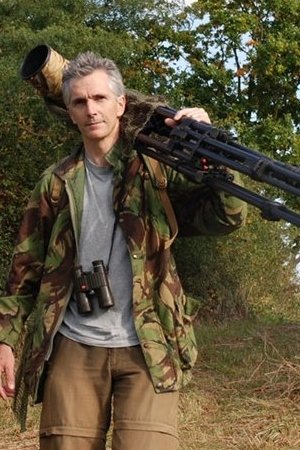 Stephen de Vere | Director