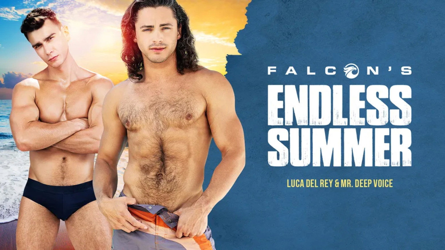 Falcon's Endless Summer