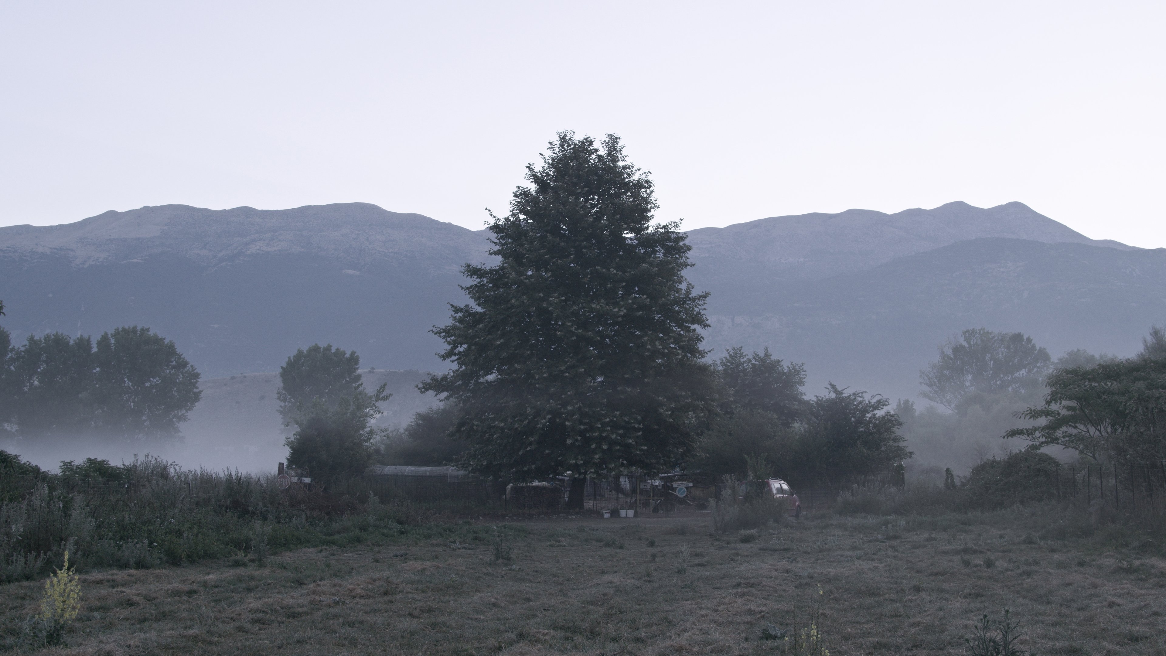 The Last Nomad (2024)