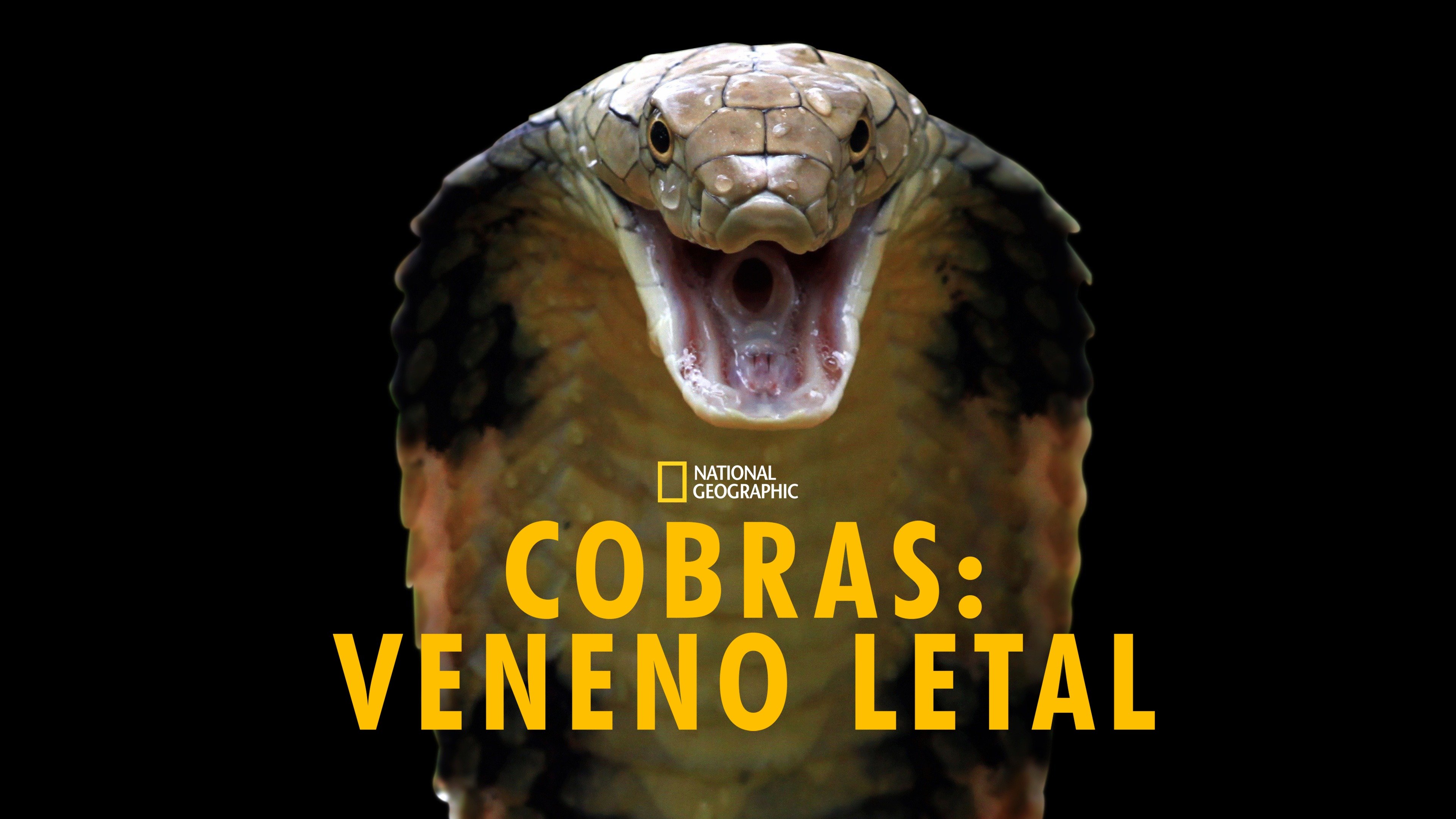 Killer Snakes (2021) - AZ Movies