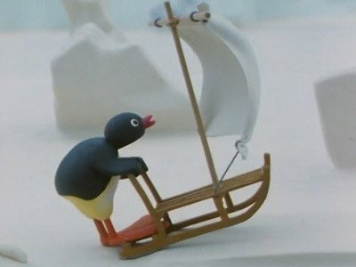 Pingu