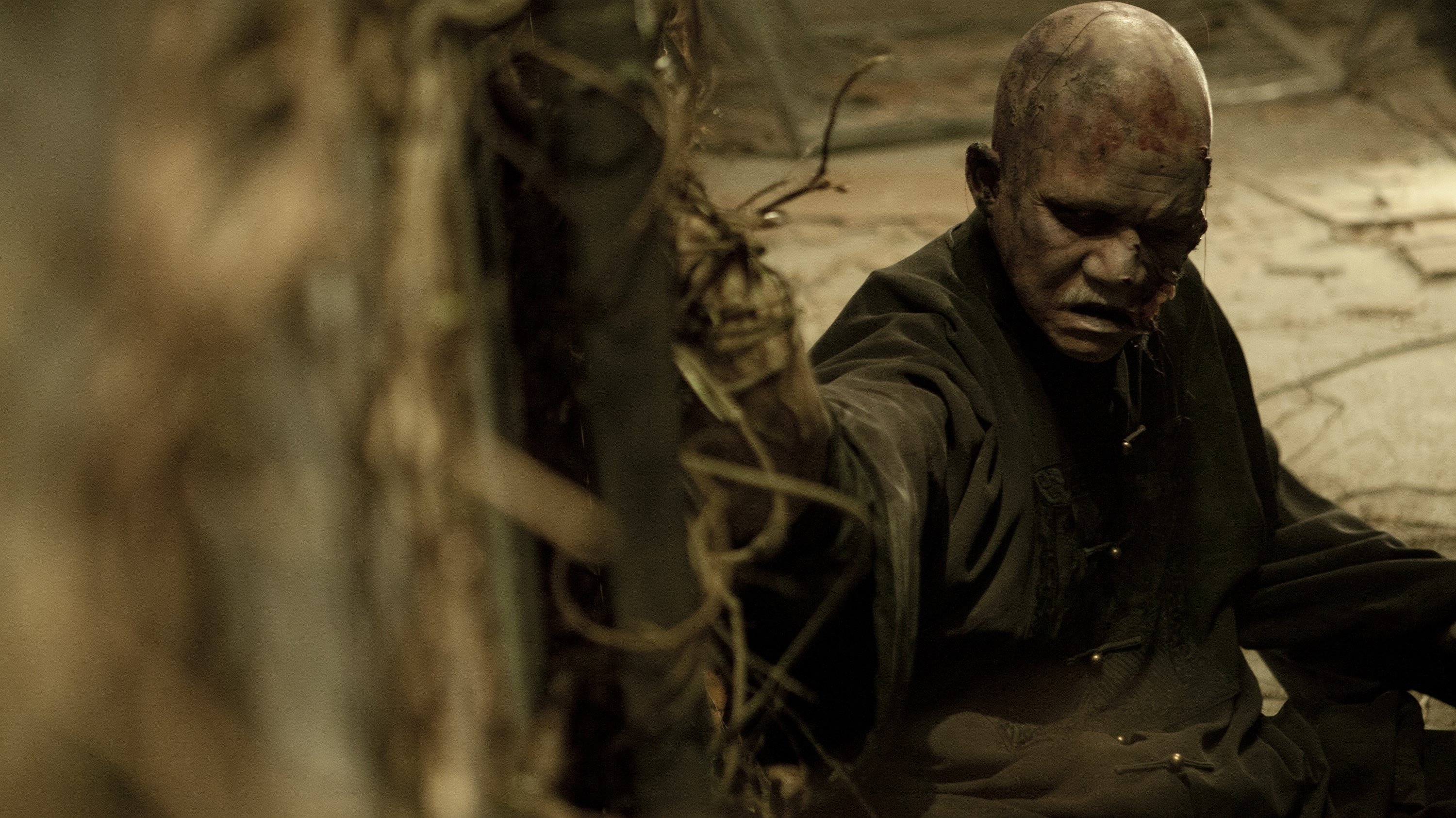 Rigor Mortis (2013)