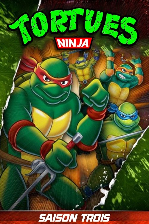 Artwork de la saison 1 de Les Tortues Ninja : Les Chevaliers d'écaille