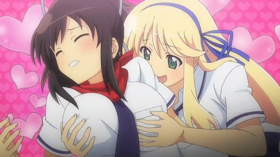 Senran Kagura: Ninja Flash