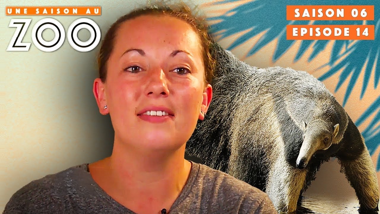 Une saison au zoo - Enrichissement pour les Animaux de la Pampa !