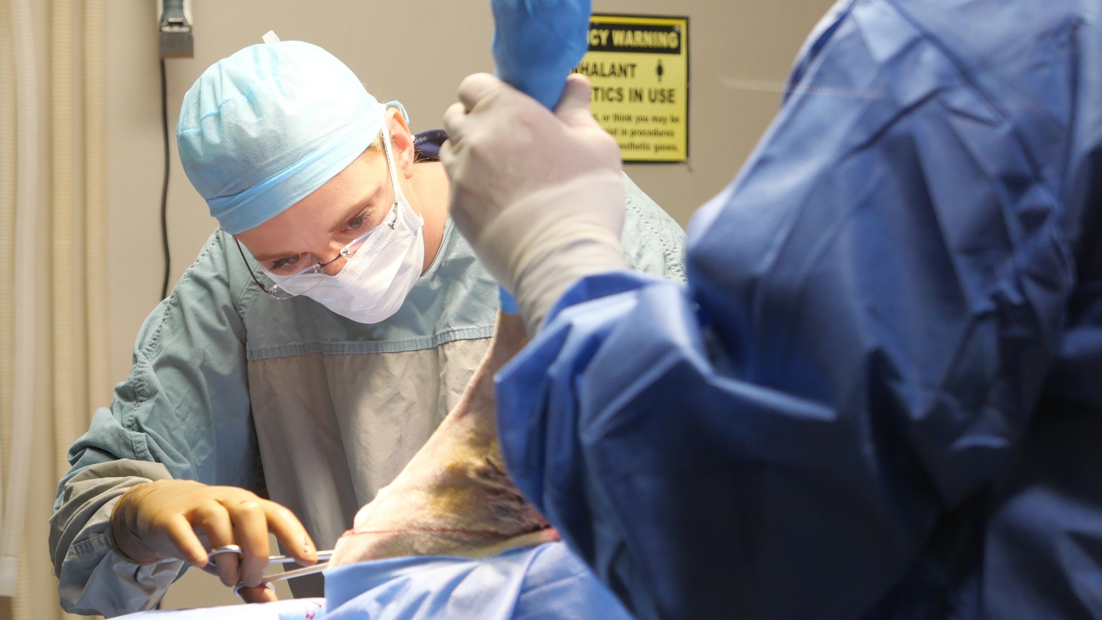 Heartland Docs, DVM