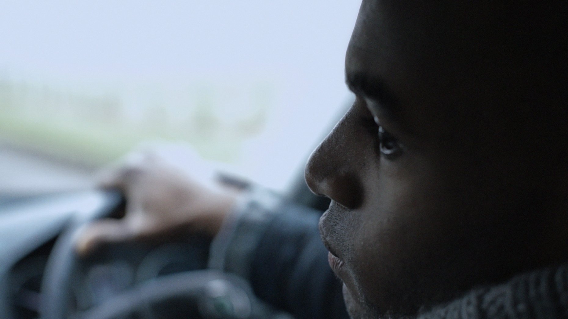 Not Far from the Tree (2014)