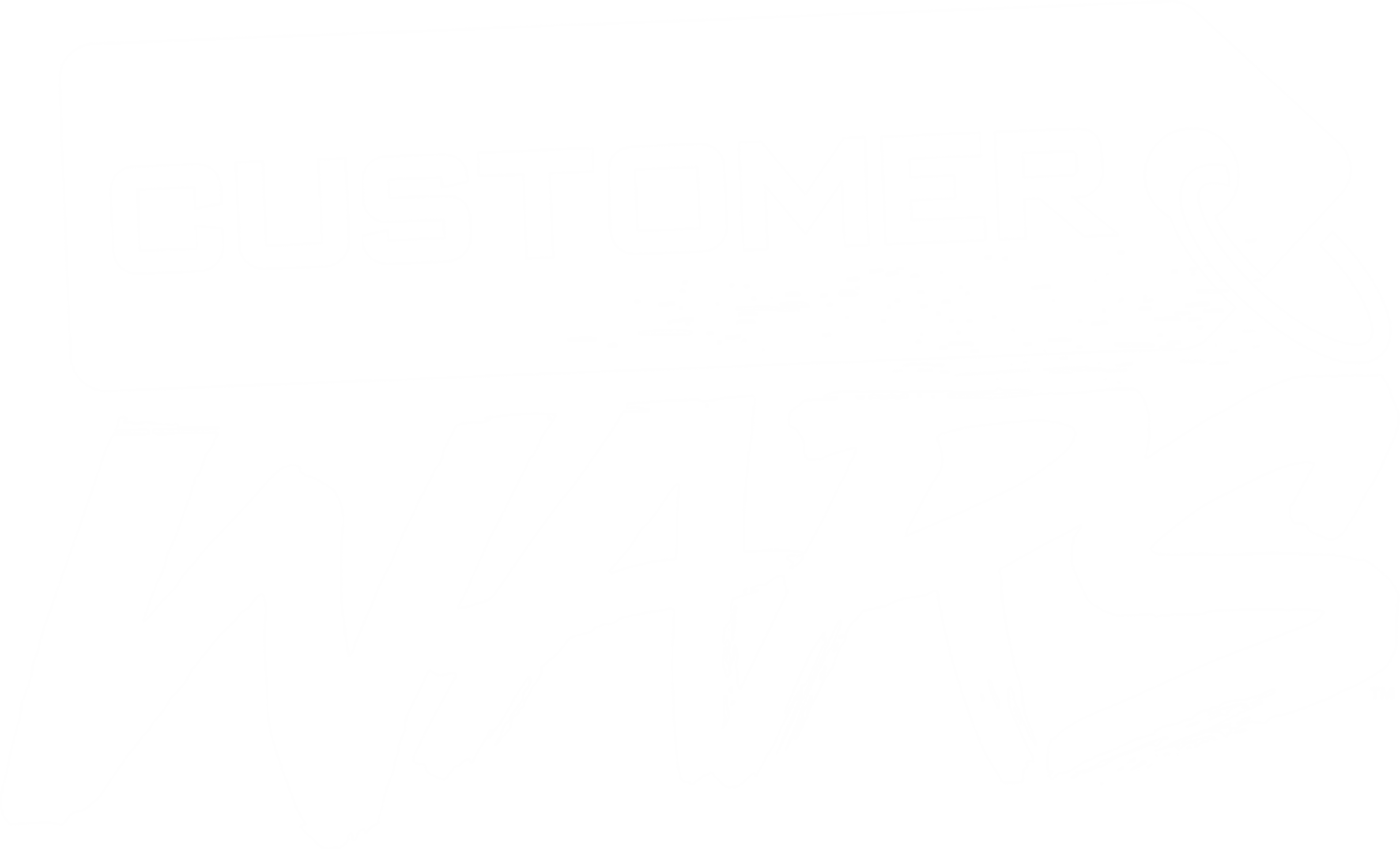 Customer Wars