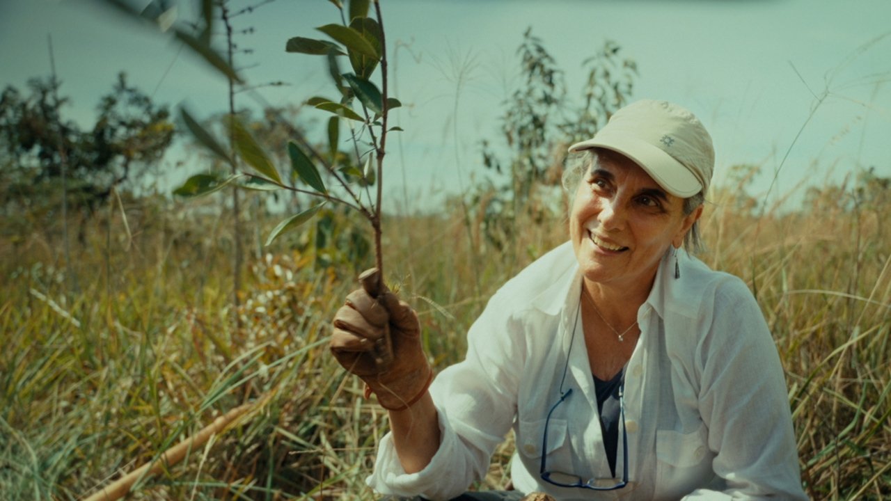 Planter à tout prix - Des arbres pour sauver la planète ? (2025)