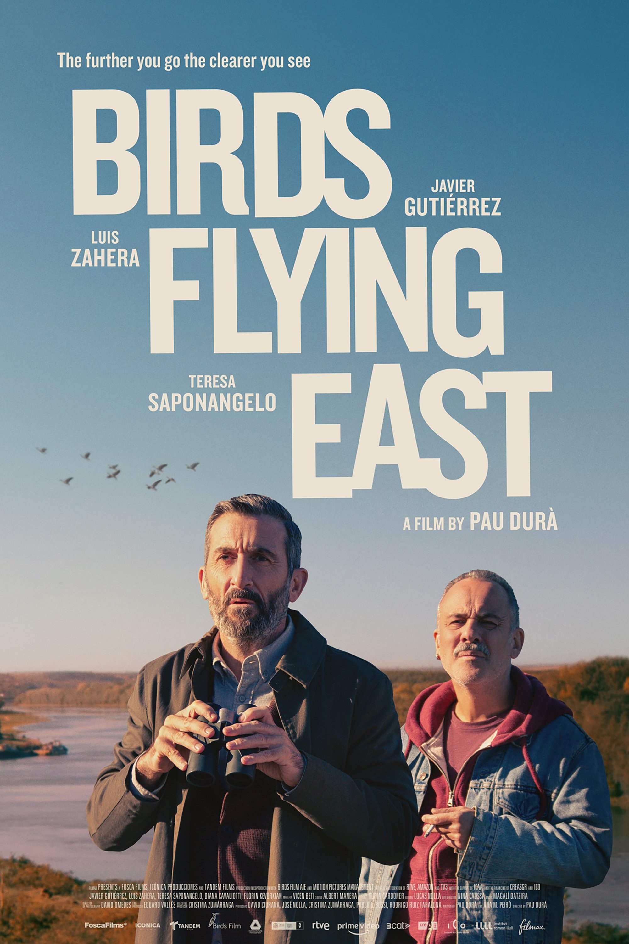 Birds Flying East