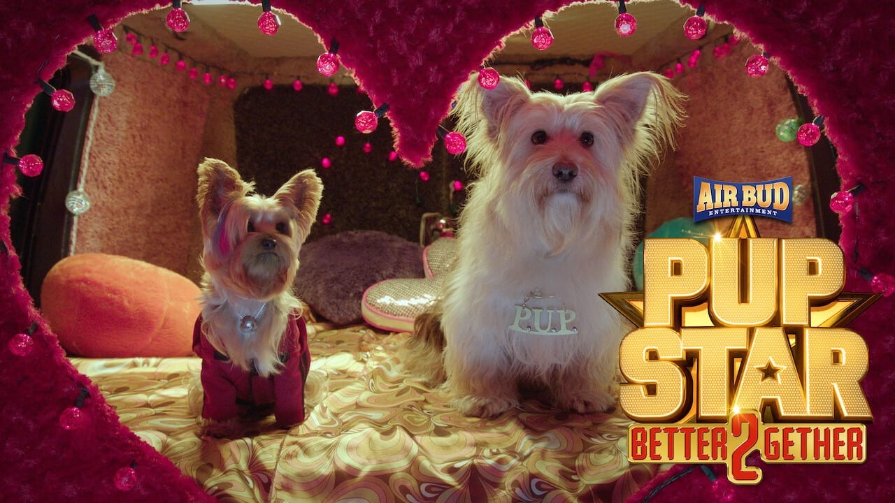 Pup Star : À 2 c’est mieux (2017)