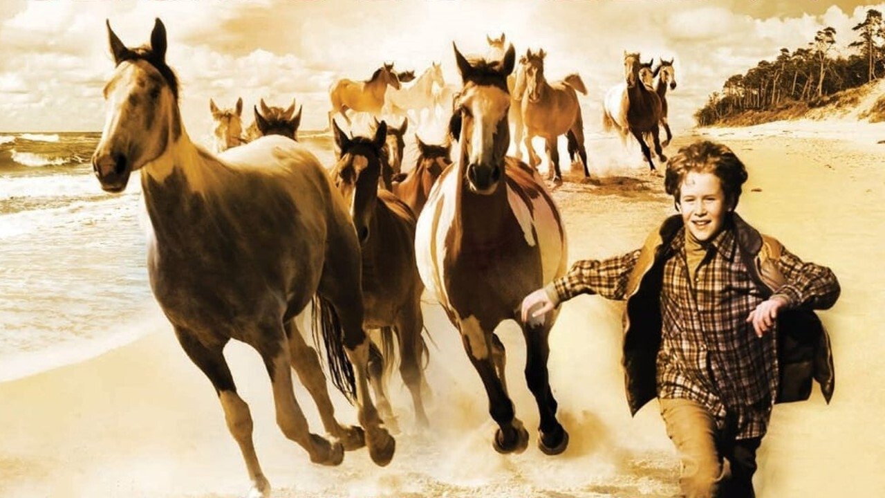 Touching Wild Horses (2011)
