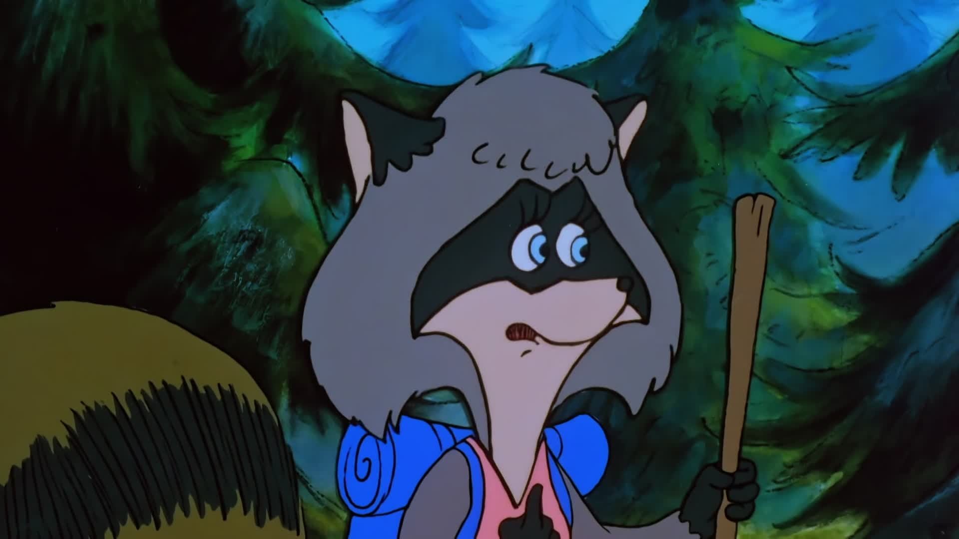 The Raccoons
