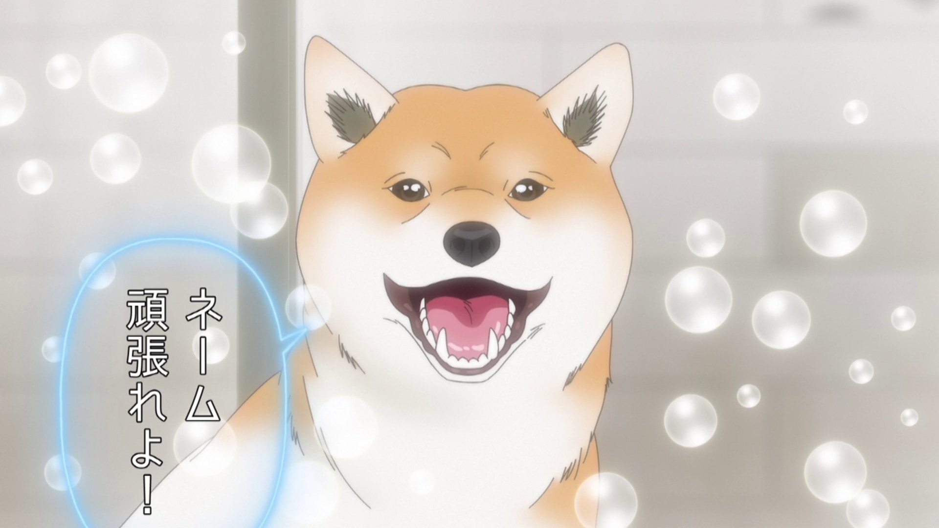 Thumbnail for The Comic Artist and the Shiba Inu Season 1 Episode 18